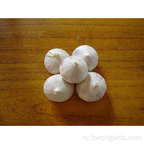 Один зубчик чеснока из провинции Юньнань